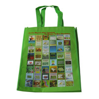 安庆LB11覆膜无纺布广告袋